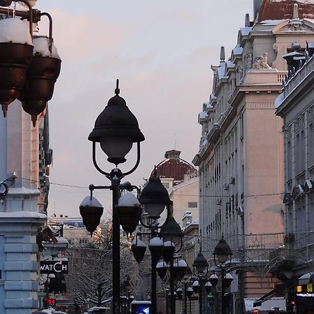 Cozy & Fully Equipped Studio In The Heart Of Downtown And Next To Kalemegdan Belgrád Kültér fotó